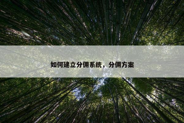 如何建立分佣系统，分佣方案
