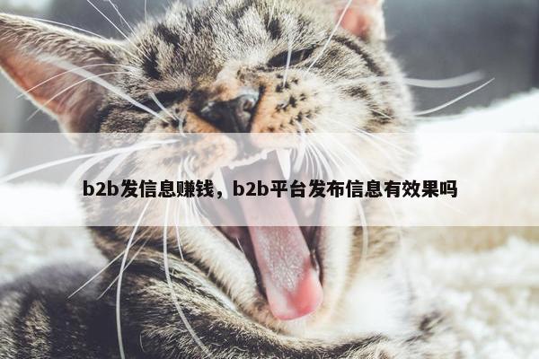 b2b发信息赚钱，b2b平台发布信息有效果吗