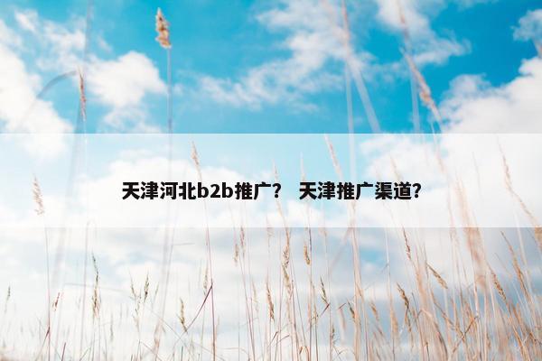 天津河北b2b推广？ 天津推广渠道？