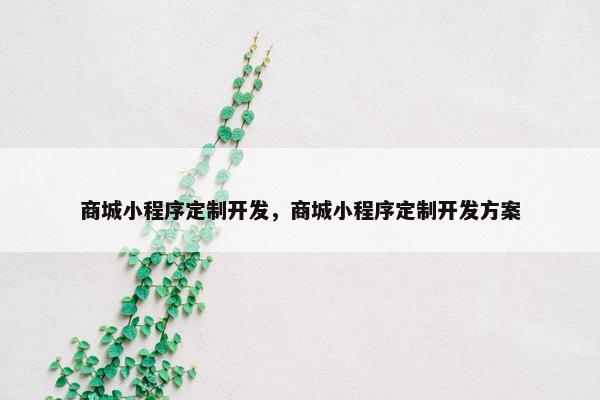 商城小程序定制开发，商城小程序定制开发方案