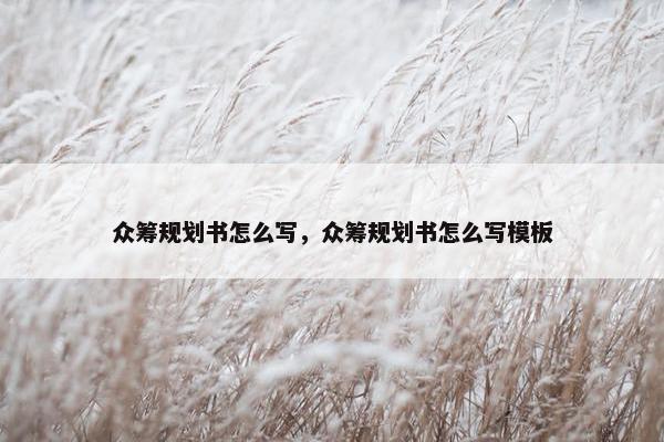 众筹规划书怎么写，众筹规划书怎么写模板