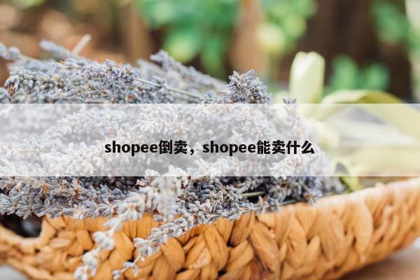shopee倒卖，shopee能卖什么
