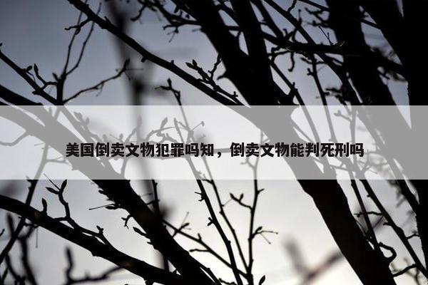 美国倒卖文物犯罪吗知，倒卖文物能判死刑吗