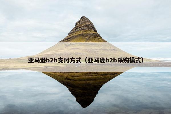 亚马逊b2b支付方式（亚马逊b2b采购模式）
