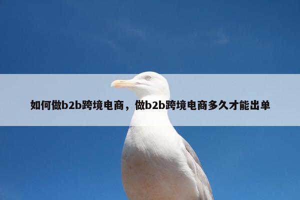 如何做b2b跨境电商，做b2b跨境电商多久才能出单