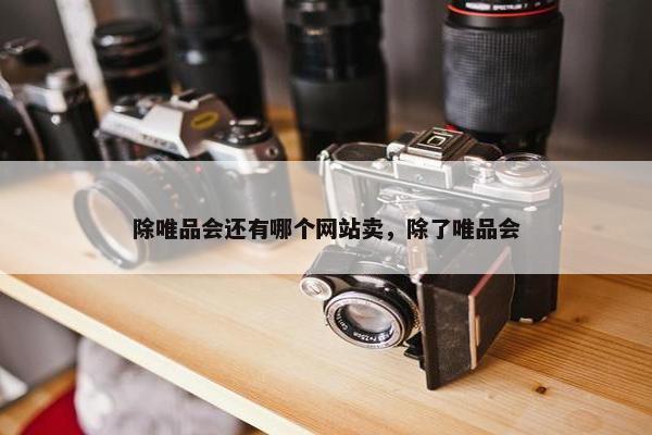 除唯品会还有哪个网站卖，除了唯品会