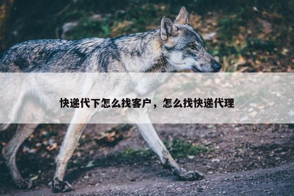 快递代下怎么找客户，怎么找快递代理