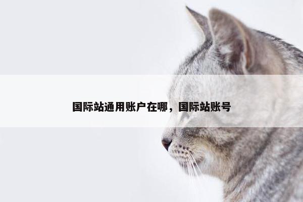 国际站通用账户在哪，国际站账号
