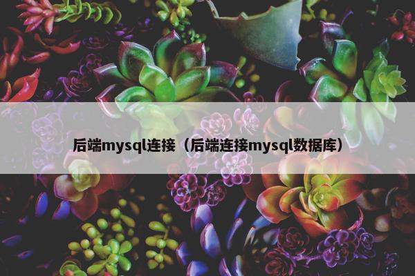 后端mysql连接（后端连接mysql数据库）