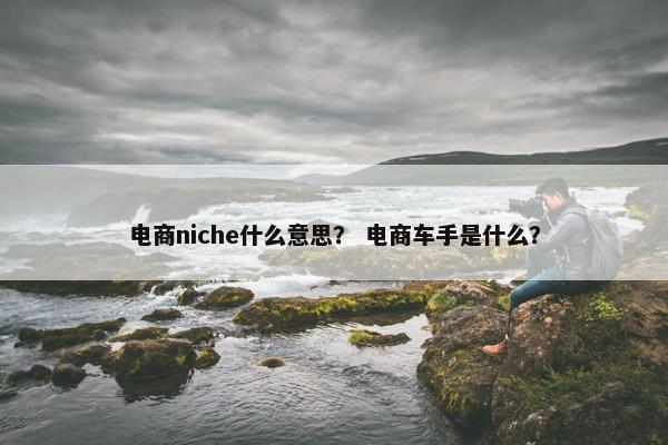 电商niche什么意思？ 电商车手是什么？