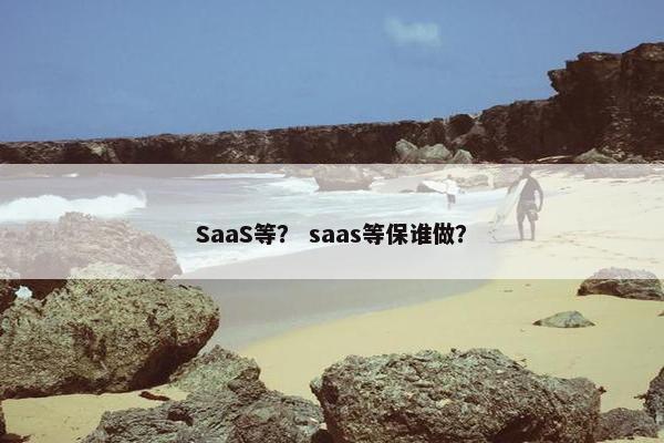 SaaS等？ saas等保谁做？