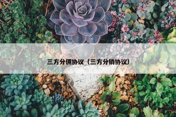 三方分佣协议（三方分销协议）