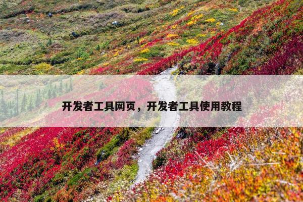 开发者工具网页，开发者工具使用教程