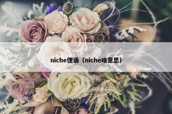 niche俚语（niche啥意思）