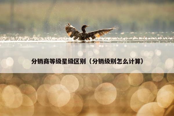 分销商等级星级区别（分销级别怎么计算）