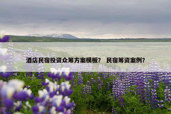 酒店民宿投资众筹方案模板？ 民宿筹资案例？