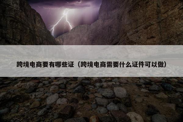 跨境电商要有哪些证（跨境电商需要什么证件可以做）