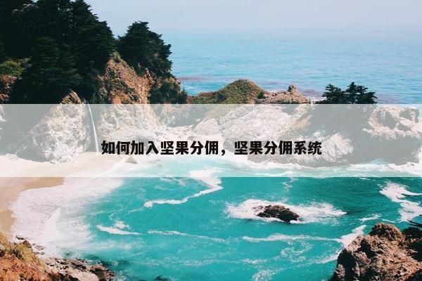 如何加入坚果分佣，坚果分佣系统