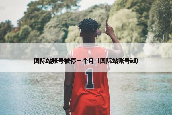 国际站账号被停一个月（国际站账号id）