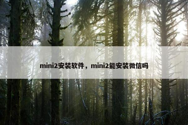 mini2安装软件，mini2能安装微信吗