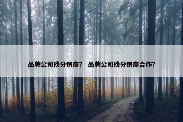 品牌公司找分销商？ 品牌公司找分销商合作？