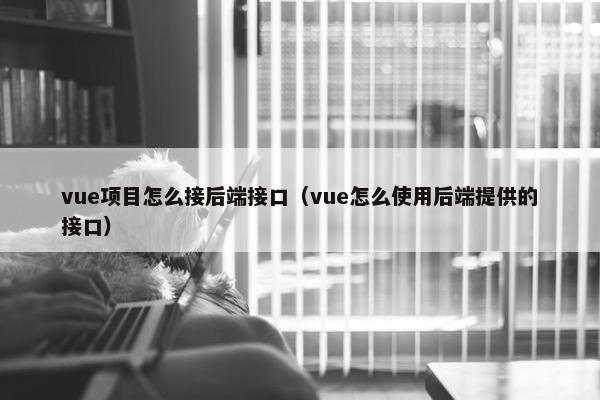 vue项目怎么接后端接口（vue怎么使用后端提供的接口）