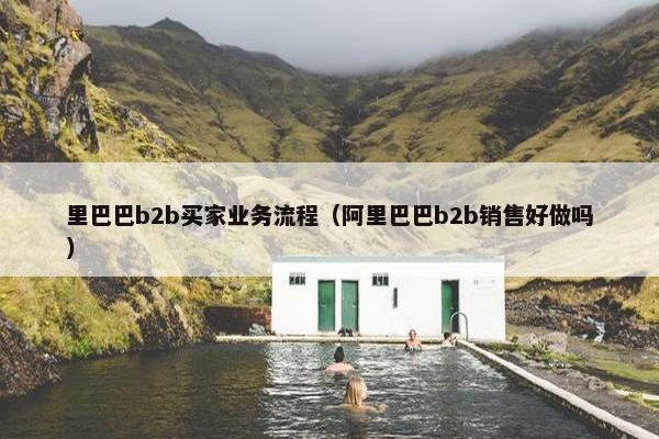 里巴巴b2b买家业务流程（阿里巴巴b2b销售好做吗）