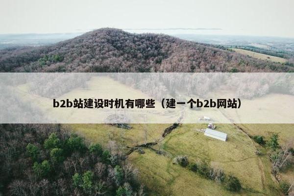 b2b站建设时机有哪些（建一个b2b网站）