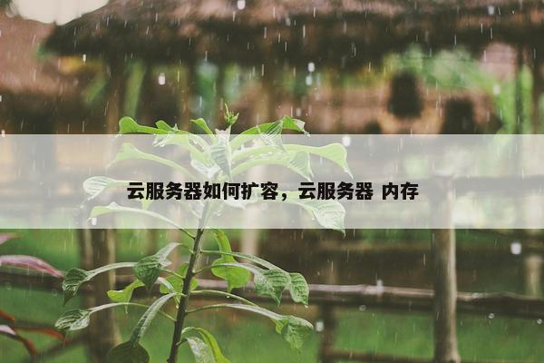 云服务器如何扩容，云服务器 内存