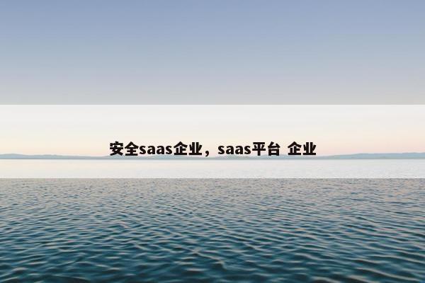 安全saas企业，saas平台 企业