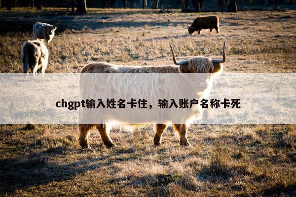 chgpt输入姓名卡住，输入账户名称卡死