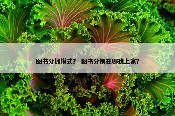 图书分佣模式？ 图书分销在哪找上家？
