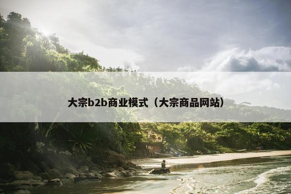 大宗b2b商业模式（大宗商品网站）