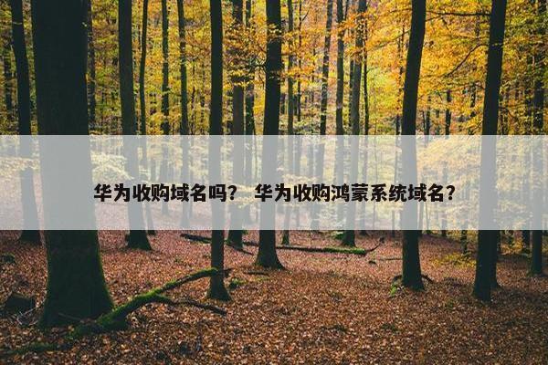 华为收购域名吗？ 华为收购鸿蒙系统域名？