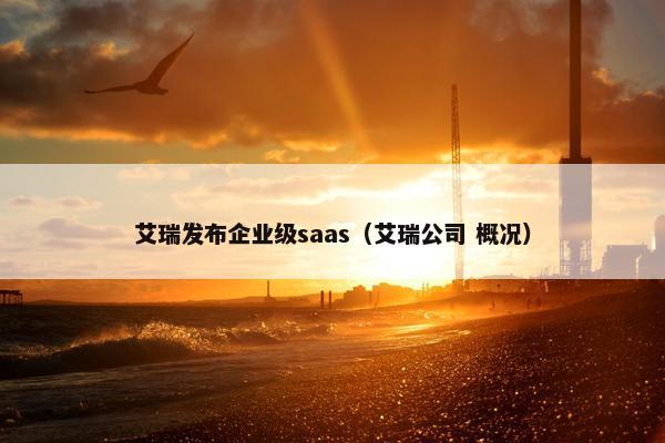 艾瑞发布企业级saas（艾瑞公司 概况）