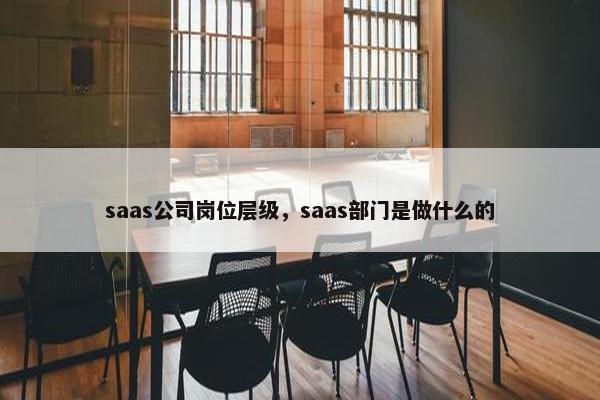 saas公司岗位层级，saas部门是做什么的