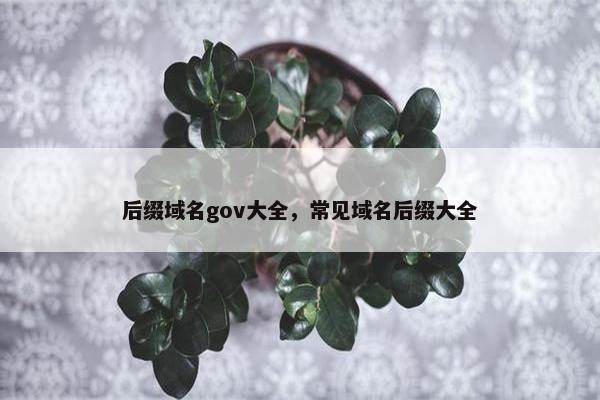 后缀域名gov大全，常见域名后缀大全