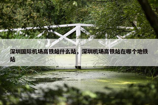 深圳国际机场高铁站什么站，深圳机场高铁站在哪个地铁站