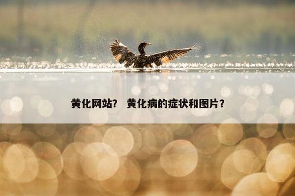 黄化网站？ 黄化病的症状和图片？