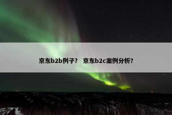京东b2b例子？ 京东b2c案例分析？