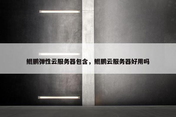 鲲鹏弹性云服务器包含，鲲鹏云服务器好用吗