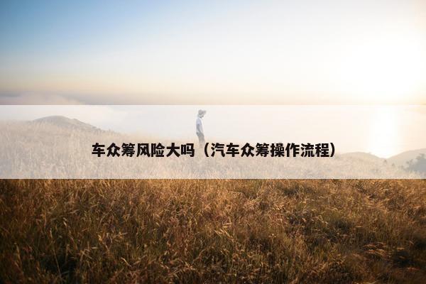 车众筹风险大吗（汽车众筹操作流程）