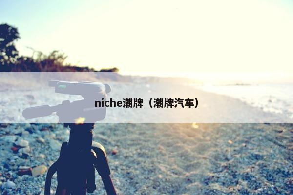 niche潮牌（潮牌汽车）