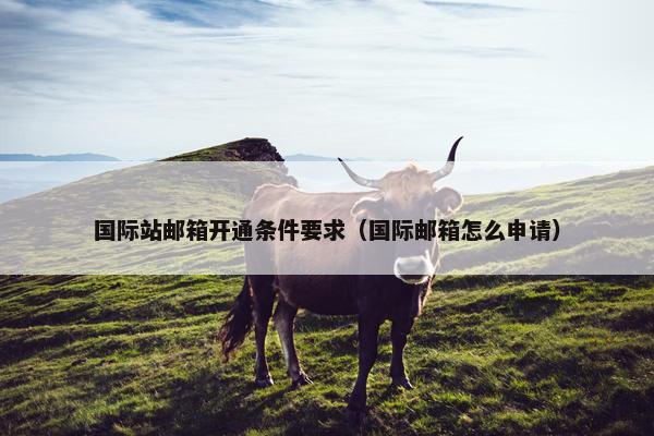 国际站邮箱开通条件要求（国际邮箱怎么申请）