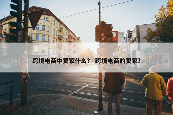 跨境电商中卖家什么？ 跨境电商的卖家？