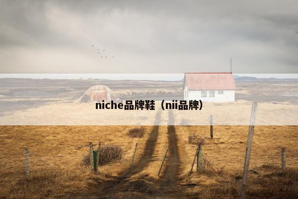niche品牌鞋（nii品牌）