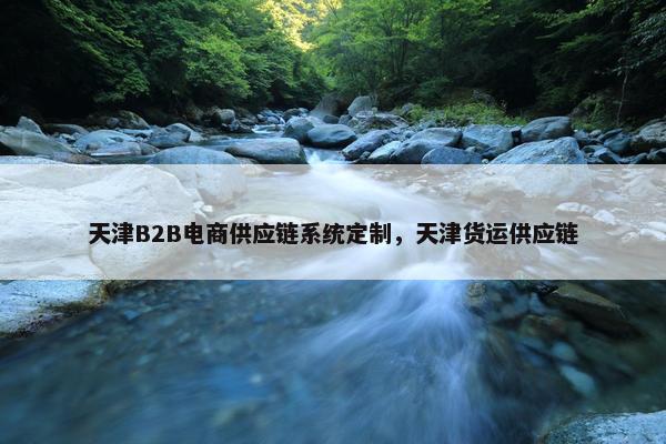 天津B2B电商供应链系统定制，天津货运供应链