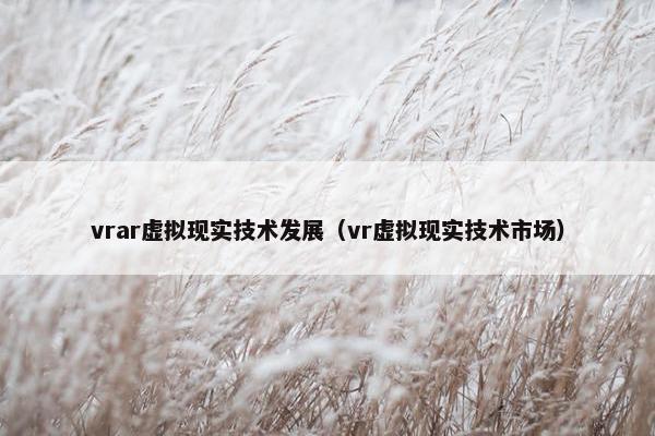 vrar虚拟现实技术发展（vr虚拟现实技术市场）