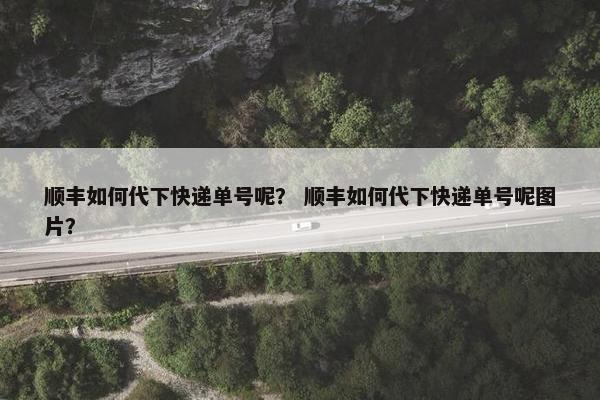 顺丰如何代下快递单号呢？ 顺丰如何代下快递单号呢图片？