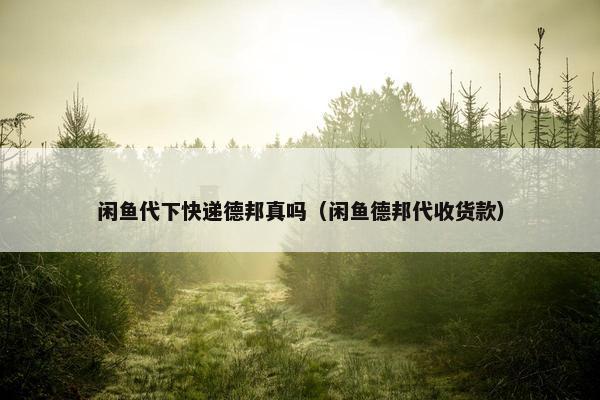闲鱼代下快递德邦真吗（闲鱼德邦代收货款）